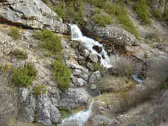 Vista de la Surgencia