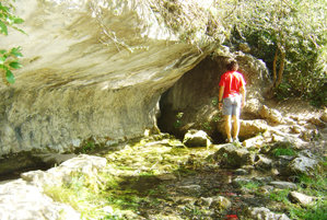 Rio Cuervo